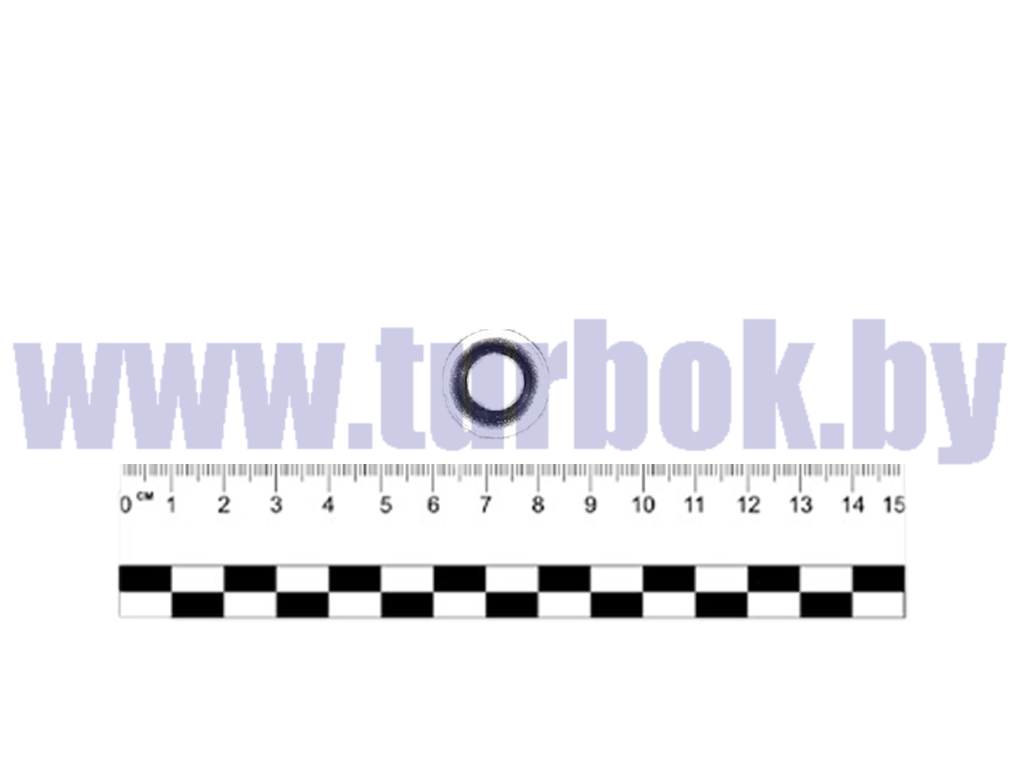 Шайба тарельчатая болта коллектора КАМАЗ-65115, 6520