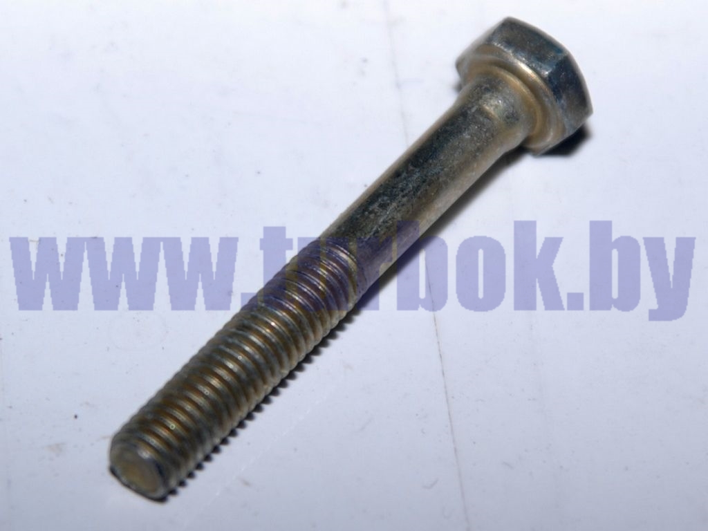 Болт М06-6g*45