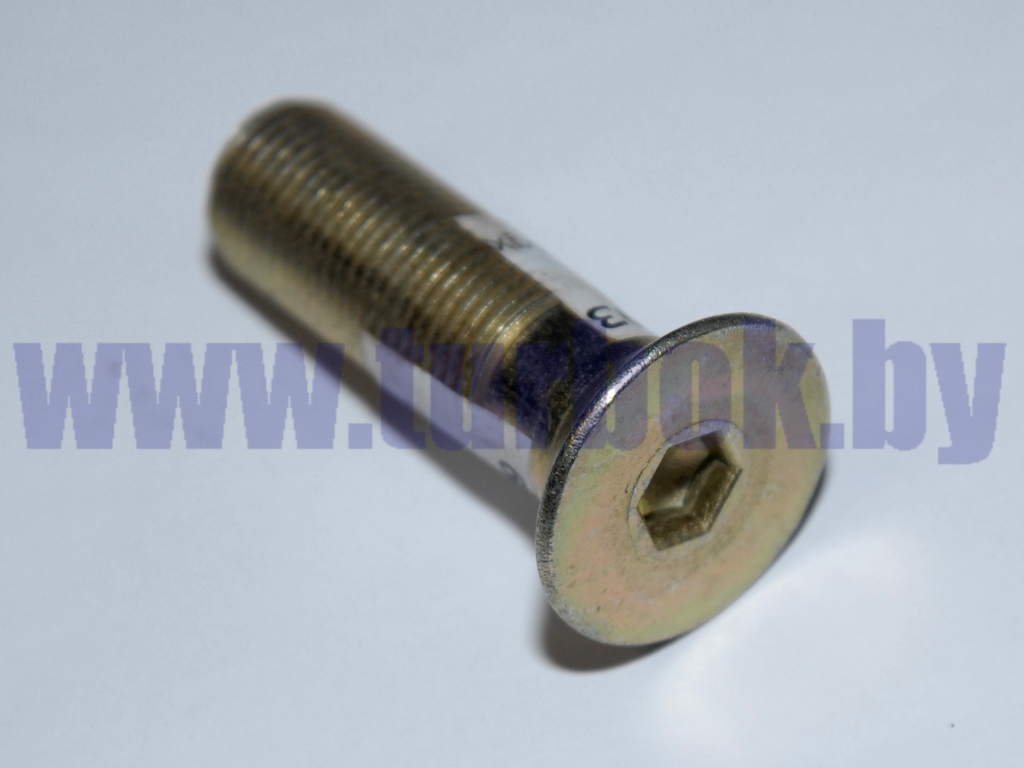 Винт М16х1,5-6gх55